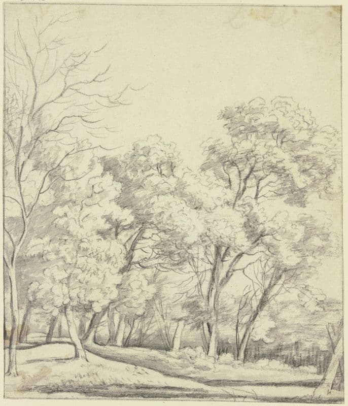 Forest section as a canvas print