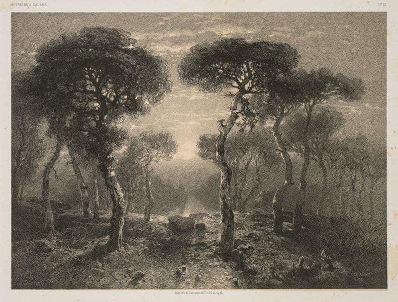 Forêt de Sierre en Valais as a canvas print