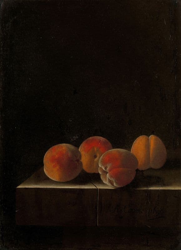 Four Apricots on a Stone Plinth as a canvas print