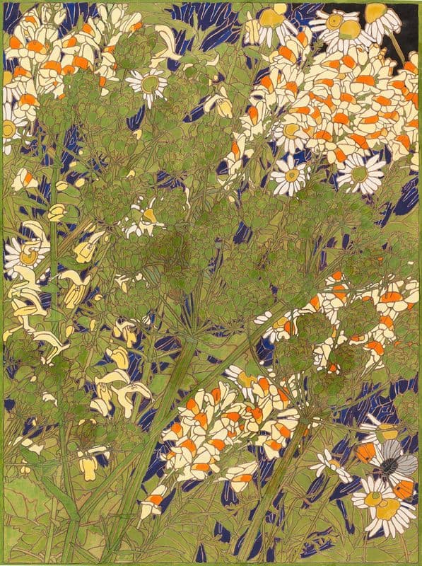 Frauenflachs as a canvas print