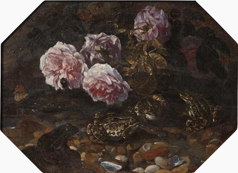 Frogs, Wild Roses, Shells and Butterflies as a canvas print