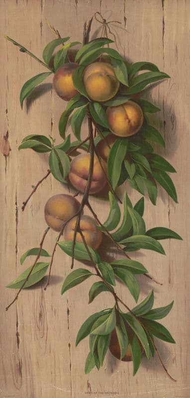 Gems of the orchard as a canvas print