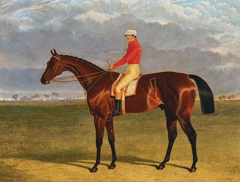 George Walker’s 5-Year-Old Brown Stallion Consol with Sam Darling or George Edwards in the Saddle as a canvas print
