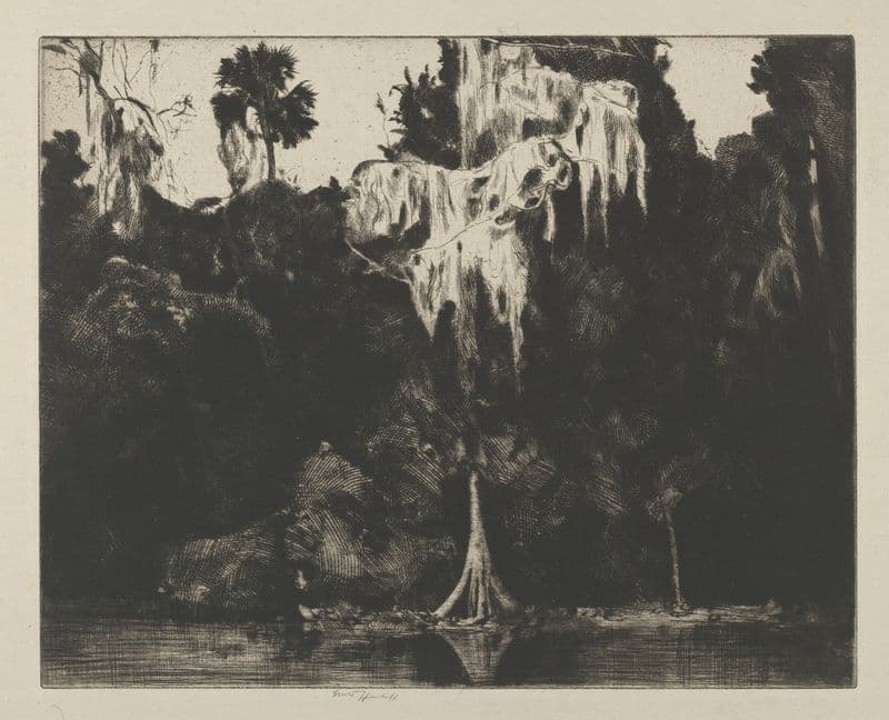 Ghost Cypress (1914-1925) as a canvas print