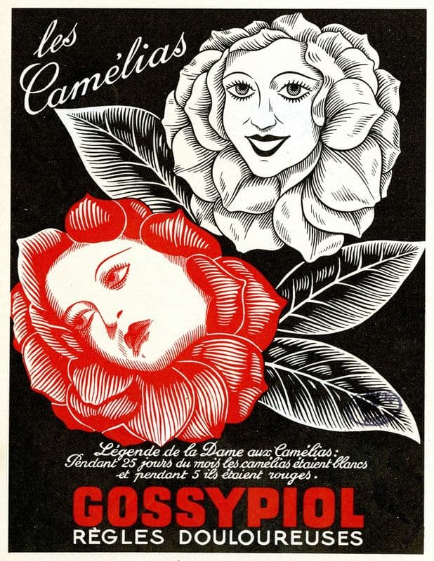 Gossypiol (1910-1950) as a canvas print