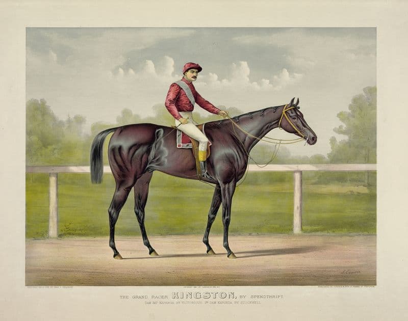 Grand racer Kingston, by Spendthrift; dam imp. Kapanga, by Victorious, 2nd dam Kapunda, by Stockwell as a canvas print