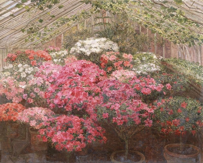 Greenhouse with Azaleas as a canvas print