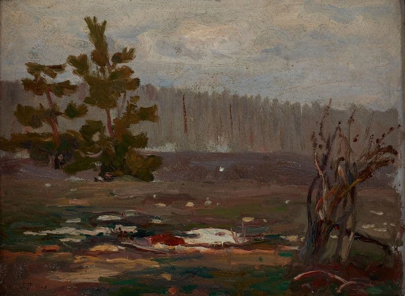 Grey Spring Day as a canvas print