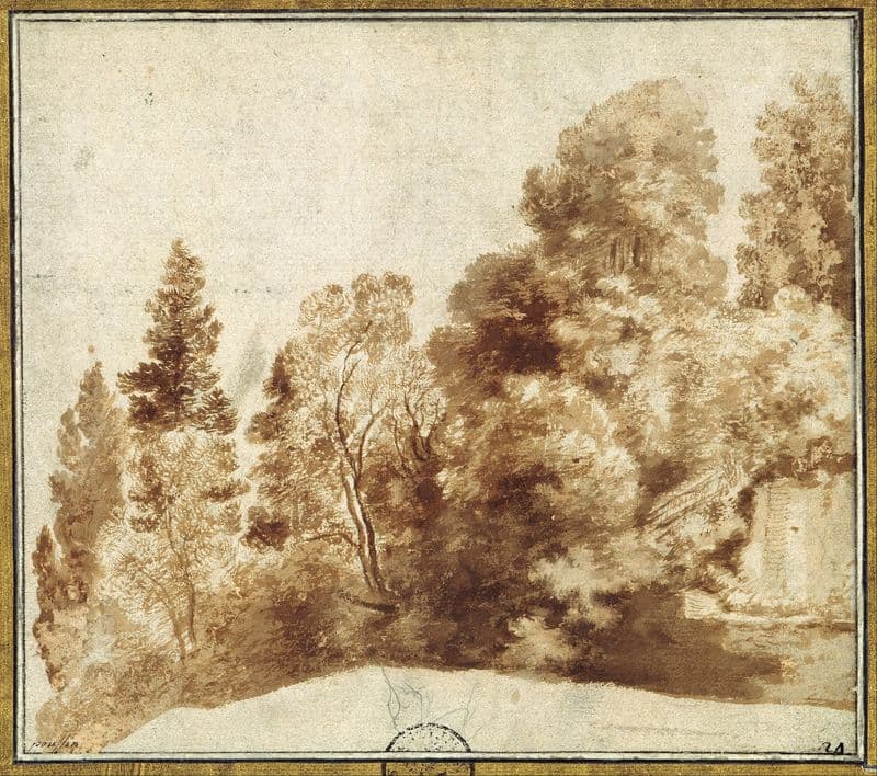 Group of Trees at a Wall as a canvas print