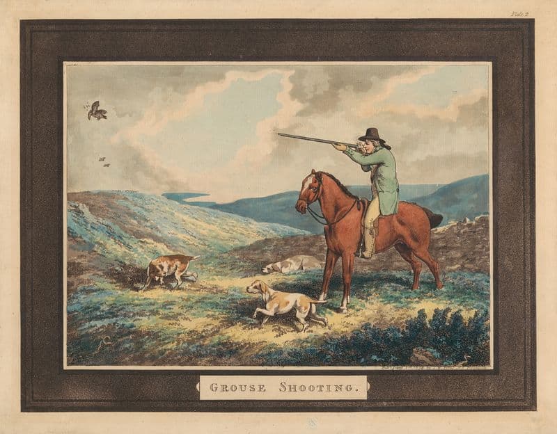 Grouse Shooting as a canvas print