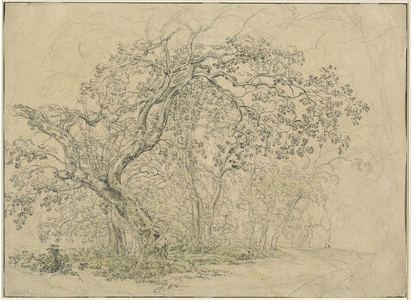 Grove of Trees (verso) (c. 1835) as a canvas print