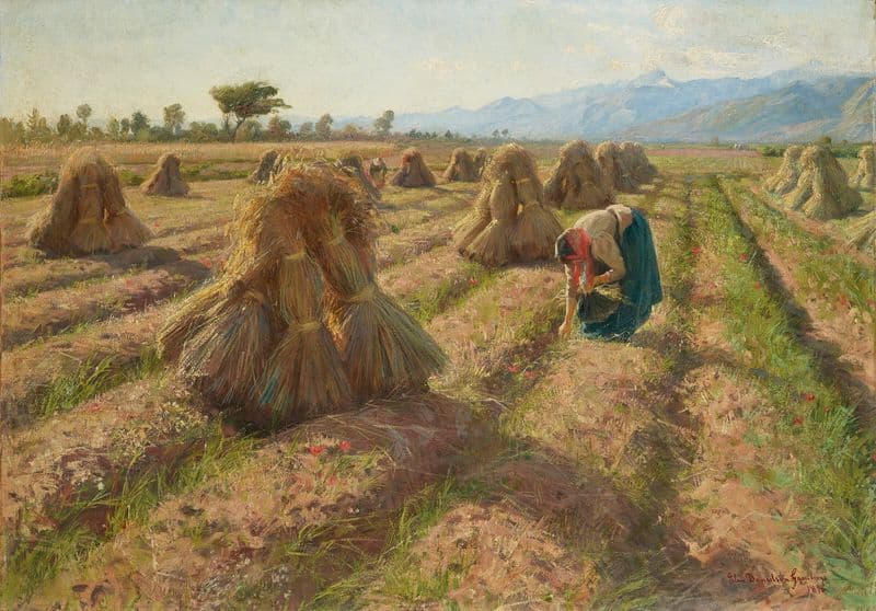 Harvest as a canvas print