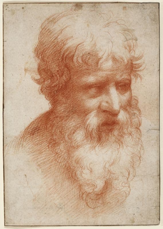 Head of a Bearded Man, looking right as a canvas print