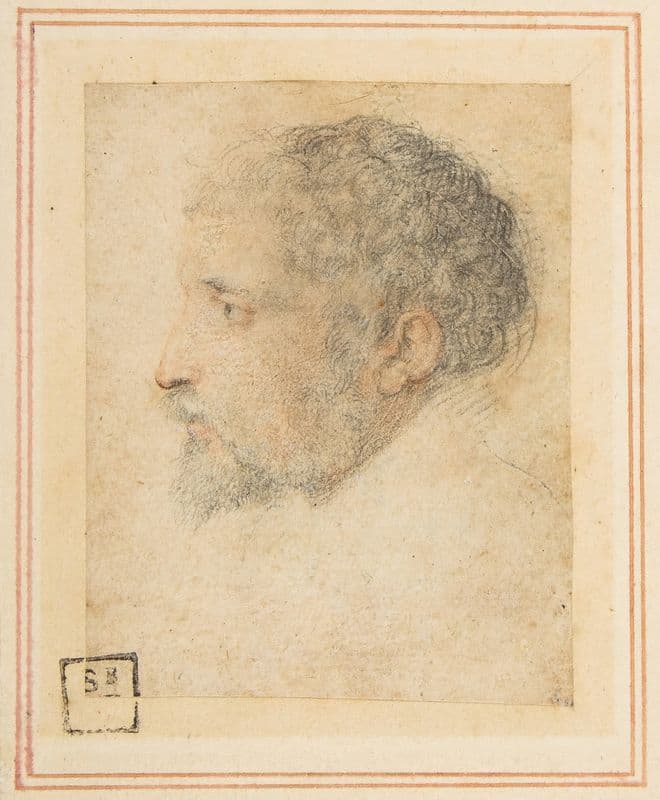Head of man in Profile to Left (1503–40) as a canvas print