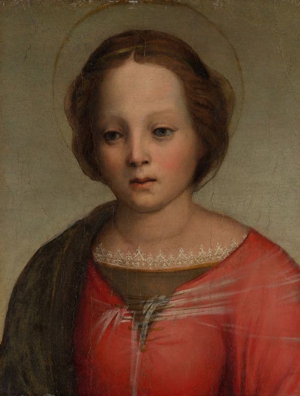 Head of the Madonna (ca. 1509) as a canvas print