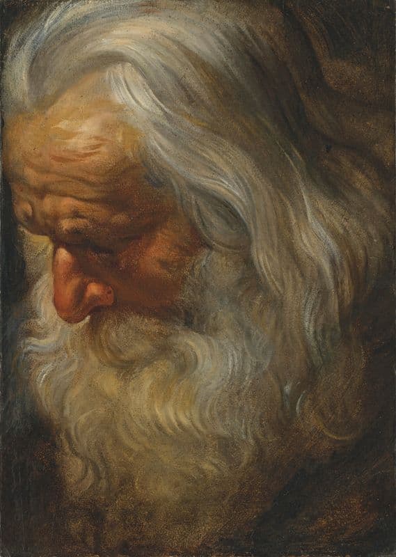 Head study of a bearded old man as a canvas print