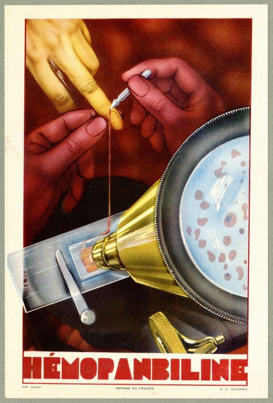 Hémopanbiline (1910-1950) as a canvas print