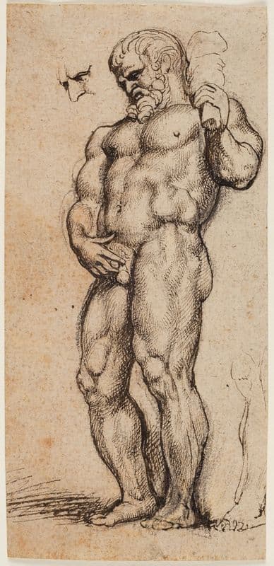 Hercules as a canvas print