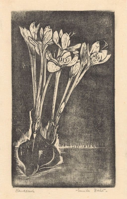 Herfsttijloos (20th century) as a canvas print