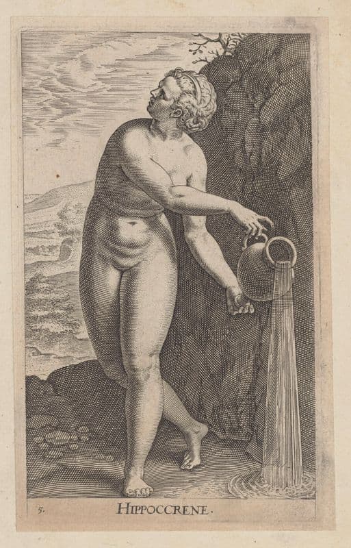 Hippoccrene as a canvas print