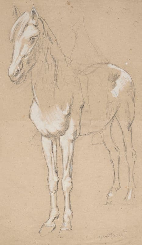Horse (1909 - 1924) as a canvas print