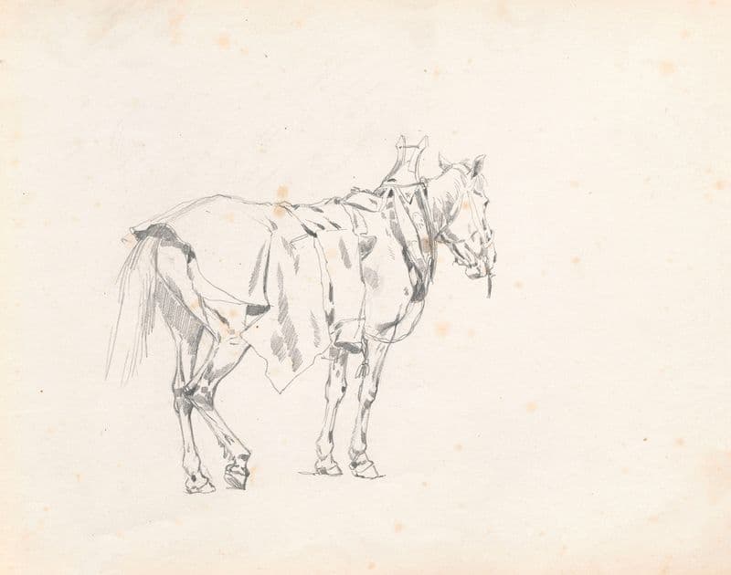 Horse in collar, study for the painting “Return from the horse fair” as a canvas print