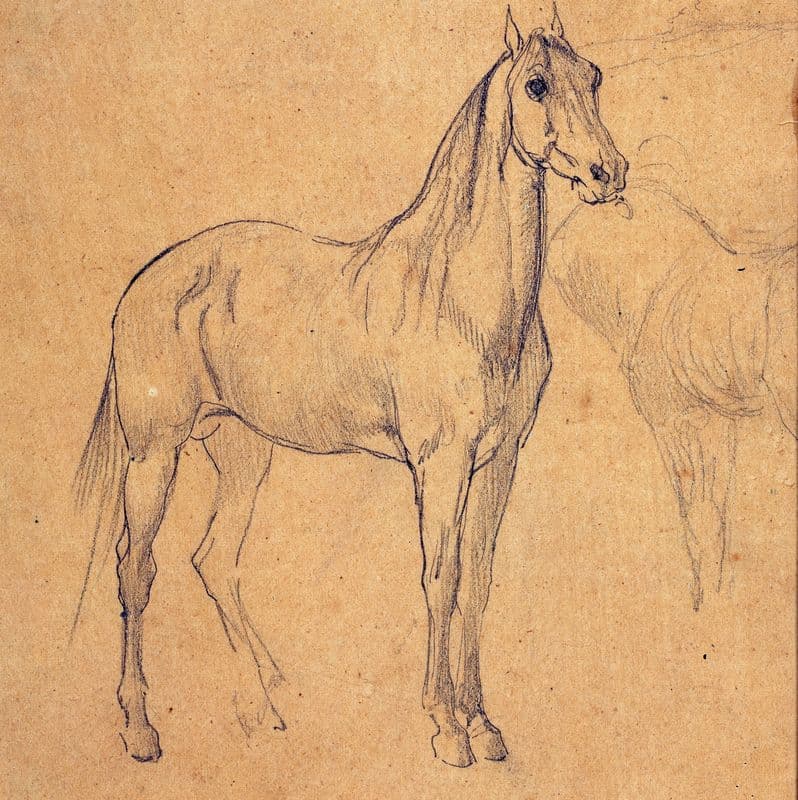 Horse (study) (19th century) as a canvas print