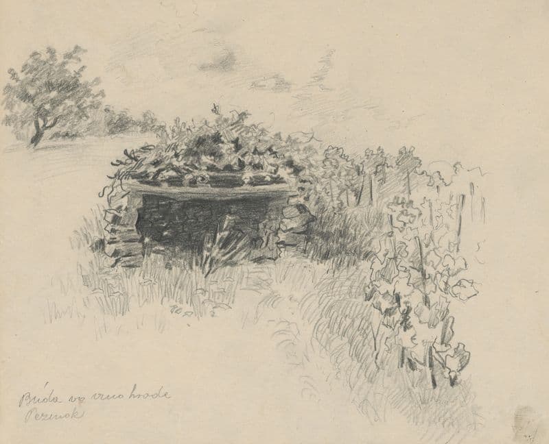 Hut in the Vineyard as a canvas print