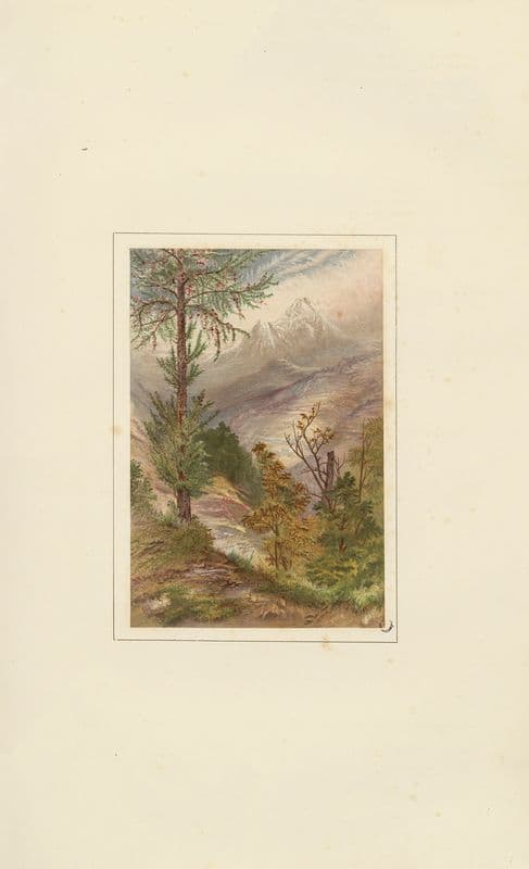 In the Valley of Aosta as a canvas print