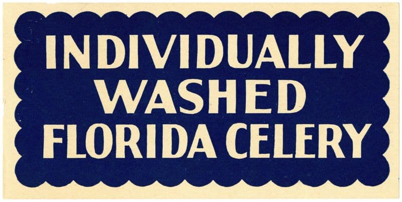 Individually Washed Florida Celery Label (1930-1950) as a canvas print