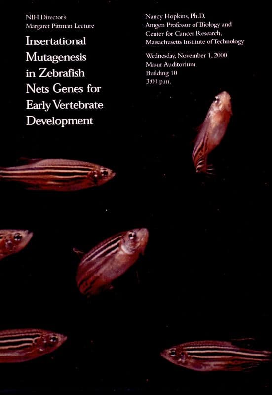 Insertational mutagenesis in zebrafish nets genes for early vertebrate development as a canvas print