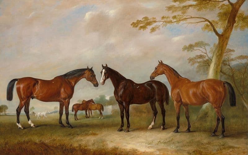 Intrepid, Conqueror and Bay Bolton with Silkman and Darnley beyond in a landscape as a canvas print