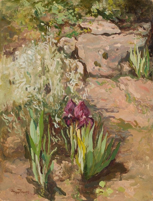 Irises as a canvas print