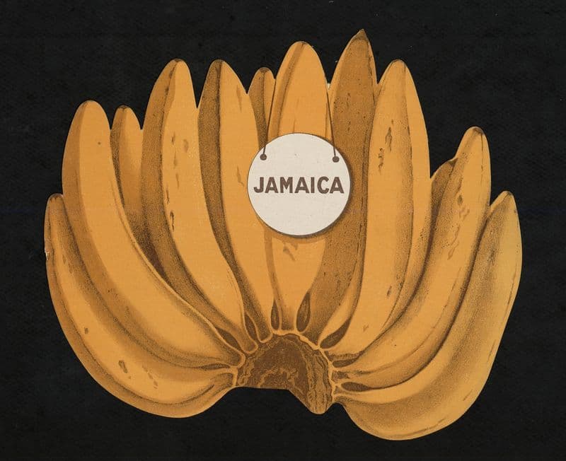 Jamaica as a canvas print