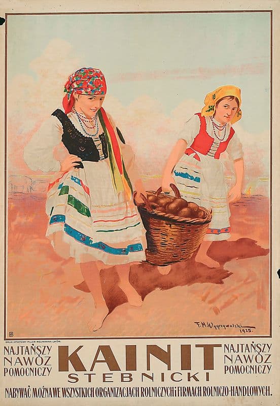 Kainit stebnicki. Najtańszy nawóz pomocniczy as a canvas print