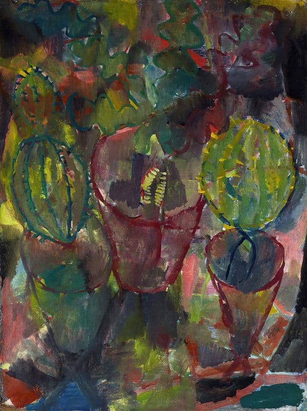 Kakteen as a canvas print