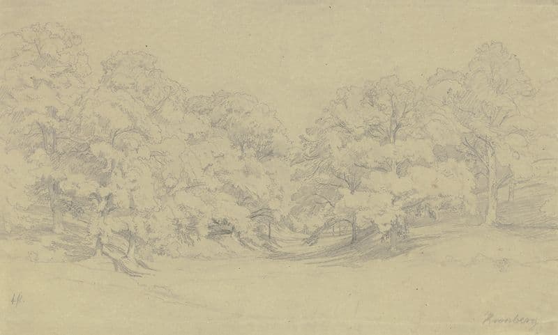 Kastanienwald bei Kronberg as a canvas print