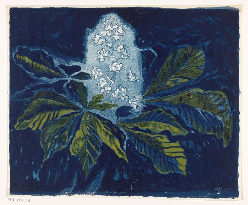 Kastanje as a canvas print