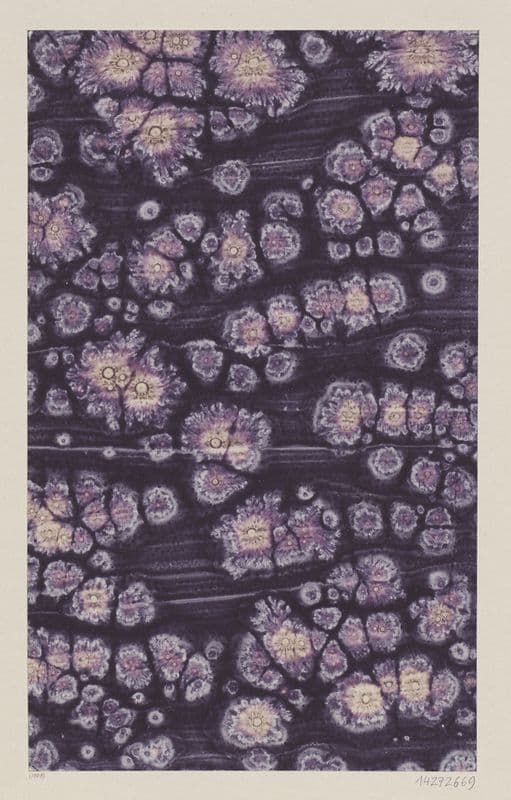 Kleisterpapier (mit Sonnenmarmormotiven) (1888 - 1909) as a canvas print