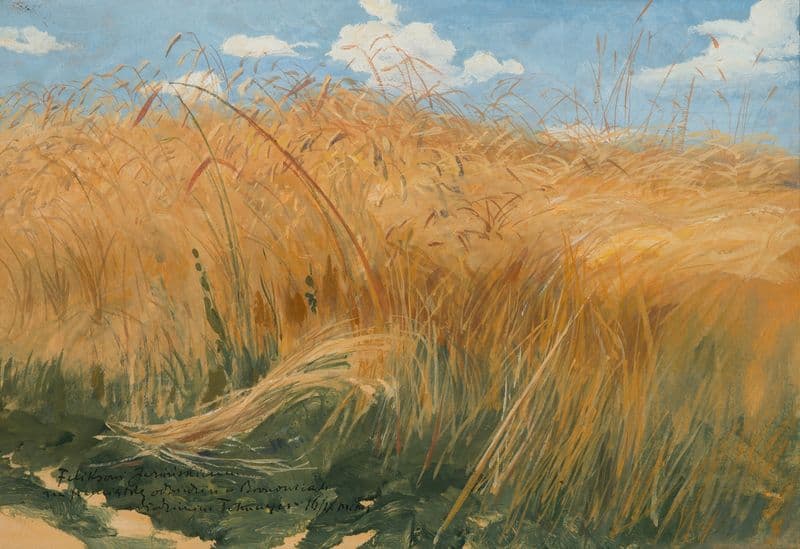 Kłosy (Field and cereal studies) as a canvas print
