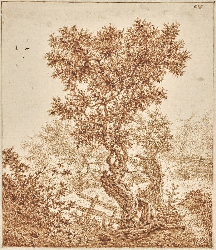 Knotty Old Tree in the Dunes with a Fence (1650–1670) as a canvas print