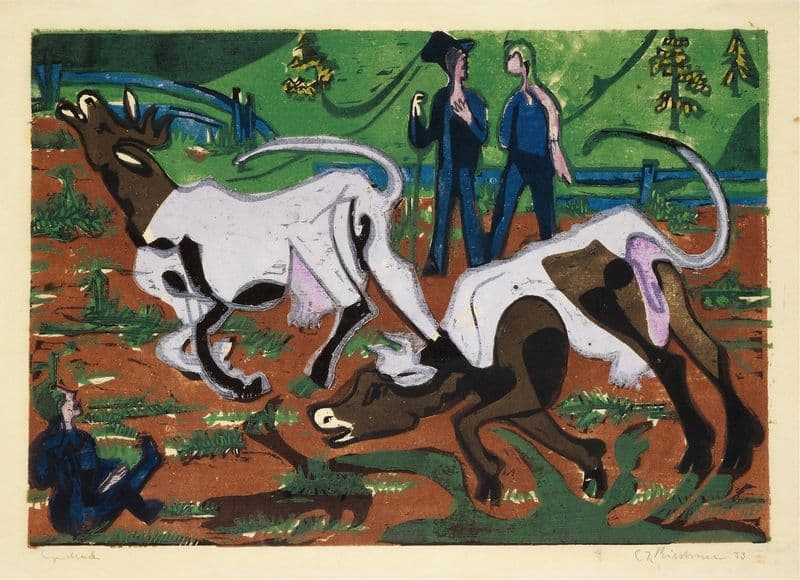 Kühe im Frühling as a canvas print