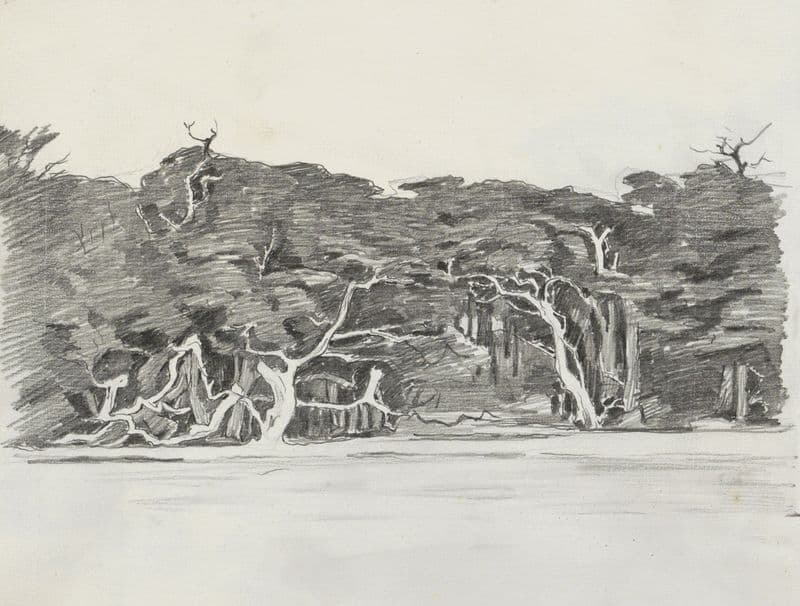 Kustgezicht met bomen, mogelijk bij St. Andrews te Canada as a canvas print