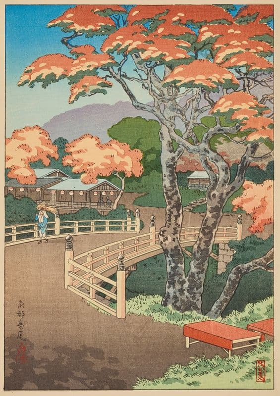 Kyoto Takao as a canvas print