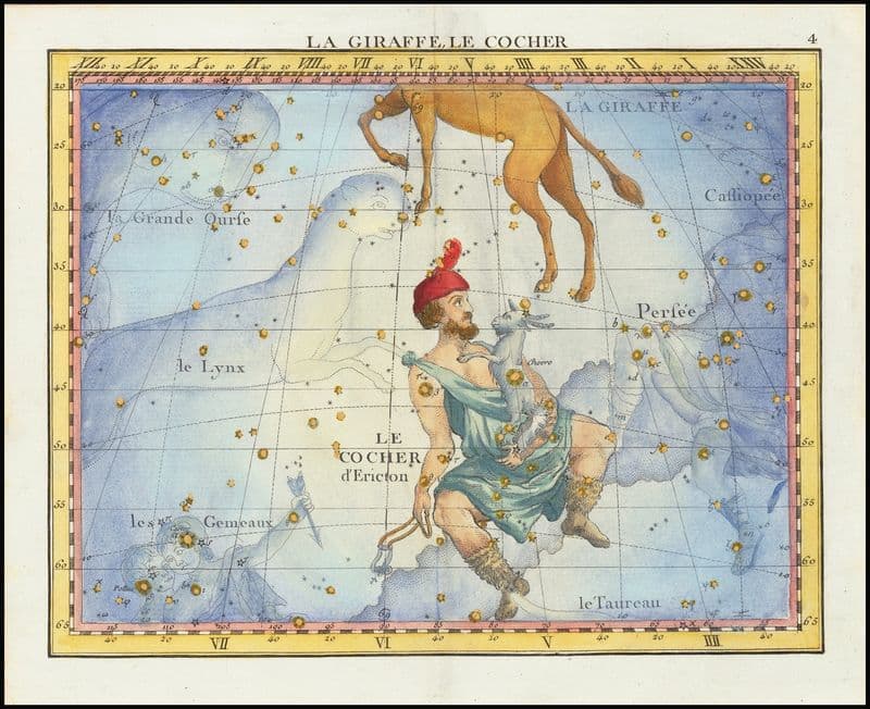 La Giraffe, Le Cocher as a canvas print