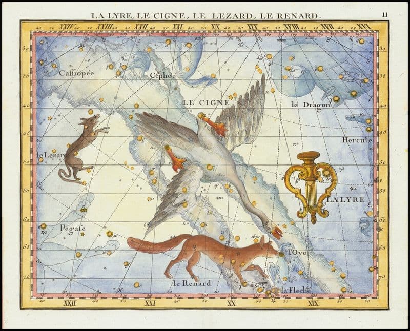 La Lyre, Le Cigne, Le Lezard, Le Renard (Lyra, Cygnus, Lacerta, Vupecula) as a canvas print