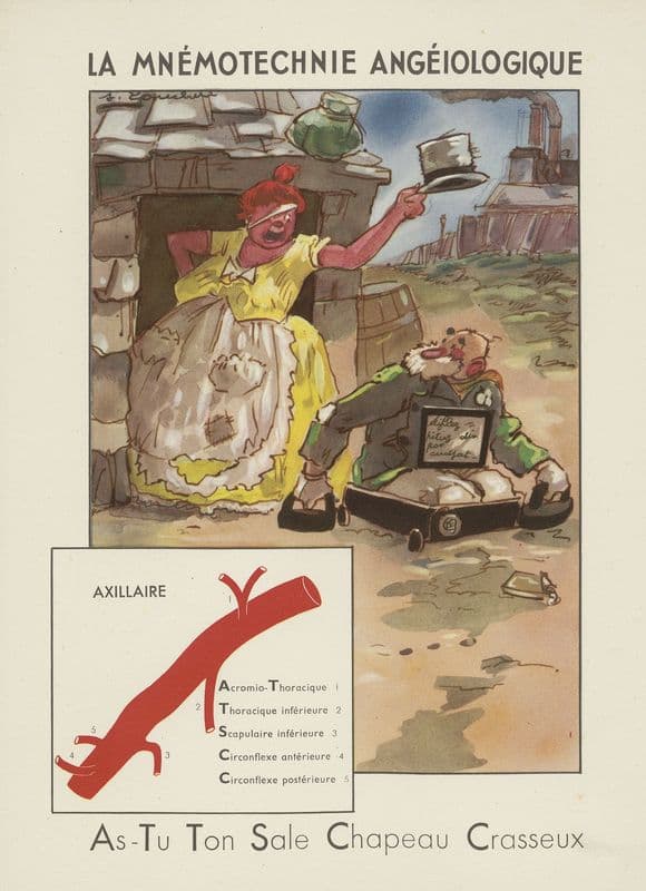 La mnémotechnie angéiologique (1910-1950) as a canvas print