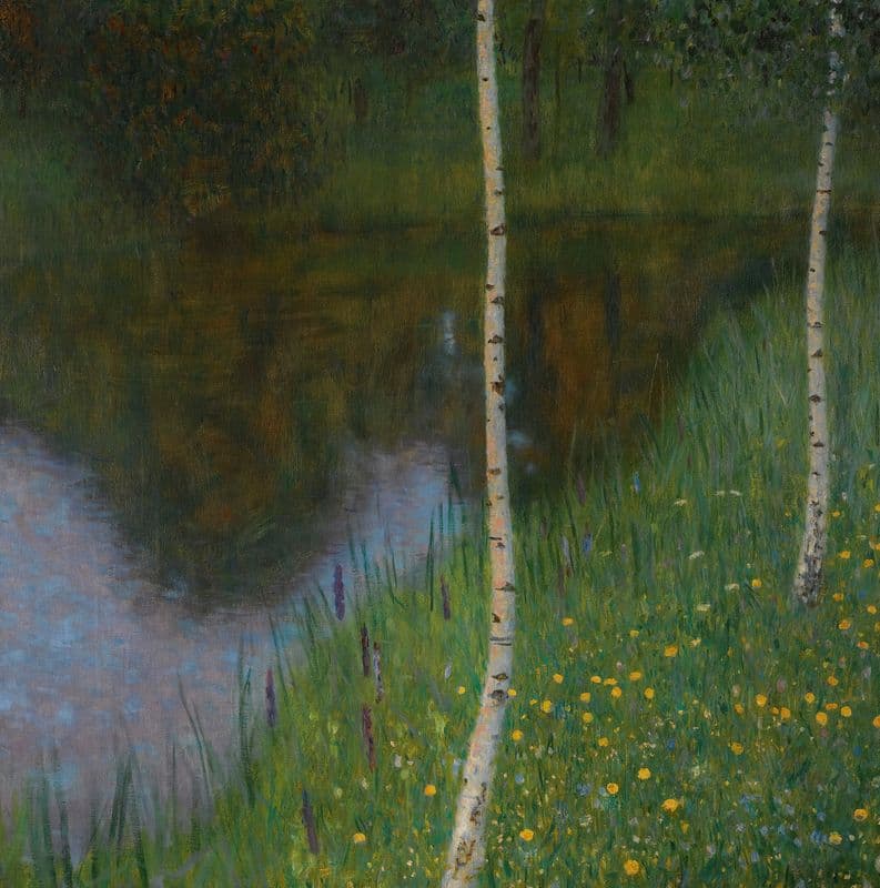 Lakeshore With Birches as a canvas print