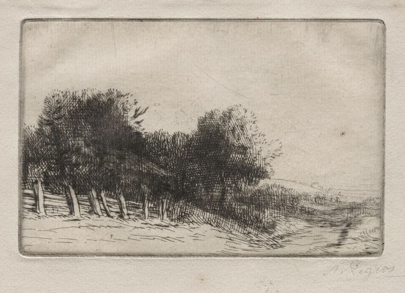 Landscape 8 (c. 1857–1911) as a canvas print