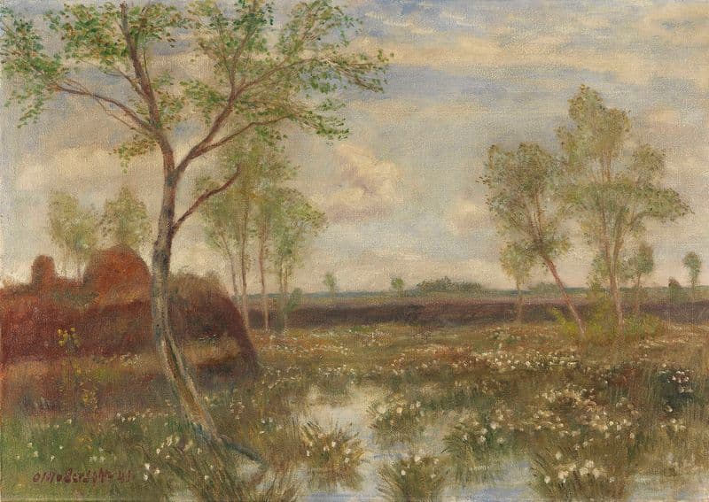 Landschaft bei Fischerhude (Frühling im Moor) as a canvas print